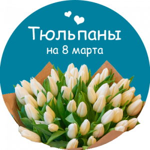 Купить тюльпаны в Конаково